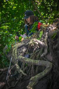 BIB: 
                            <button type="button" onclick="openModal(7072664)" class="btn btn-primary btn-sm float-right btn-popup" data-toggle="modal" data-target=".modal-high-quality">
                        <i class="fas fa-shopping-cart"></i> Add to Cart
                    </button>
                                            <button type="button" onclick="isThisMe(7072664, true)" class="btn btn-success btn-sm float-right btn-popup btn-isme hidden" data-toggle="tooltip" data-placement="bottom" title="นี่คือรูปของคุณใช่ไหม คลิกที่นี่เพื่อเอาเข้าอัลบั้ม">
                        <i class="fas fa-plus"></i> Add to album
                    </button>
                    <button type="button" onclick="isThisMe(7072664, false)" class="btn btn-warning btn-sm float-right btn-popup btn-isnotme hidden">
                        <i class="fas fa-ban"></i> Remove from album
                    </button>